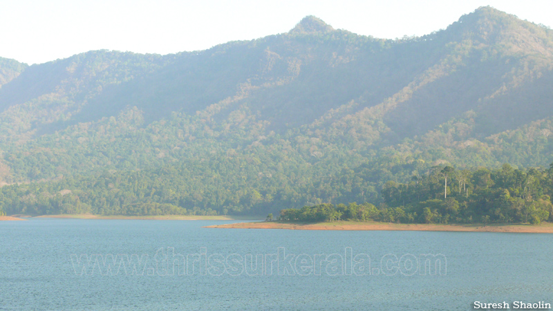 chimmini-dam-thrissur (16)